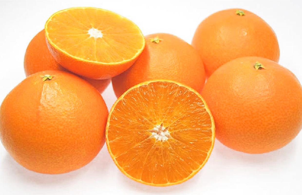 Ehime Kashi No. 28
