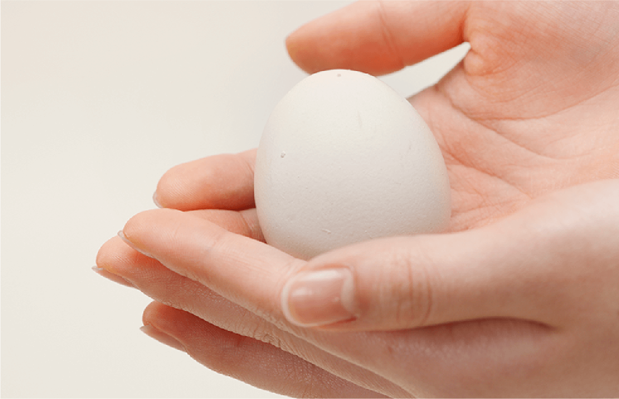 Safety & Quality Assurance