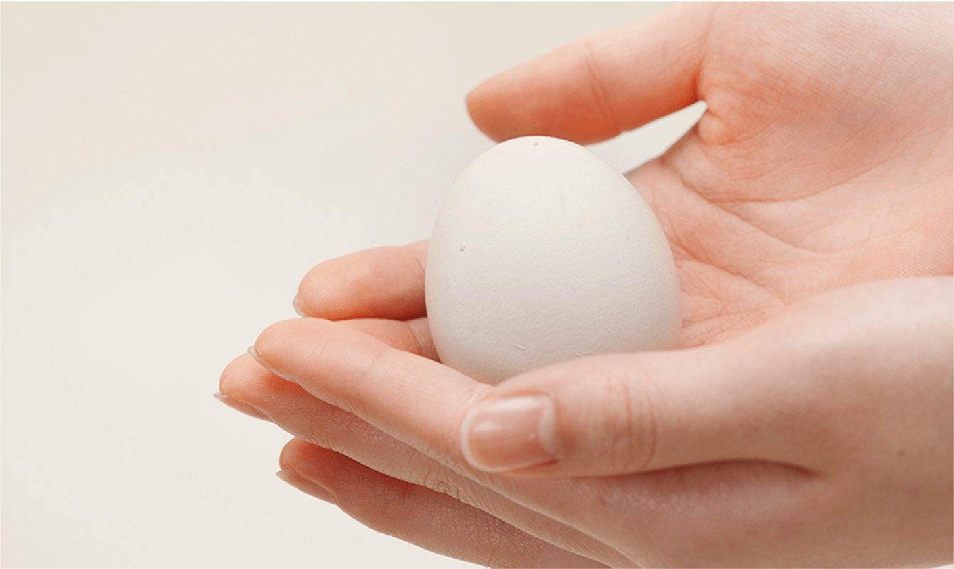 Safety & Quality Assurance