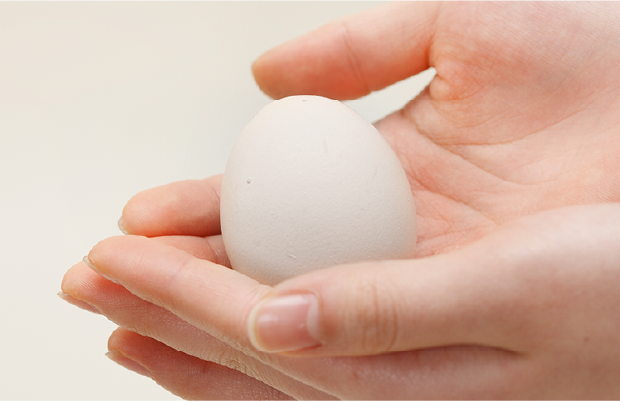 Uncompromising Standards in Japanese Egg Farming
